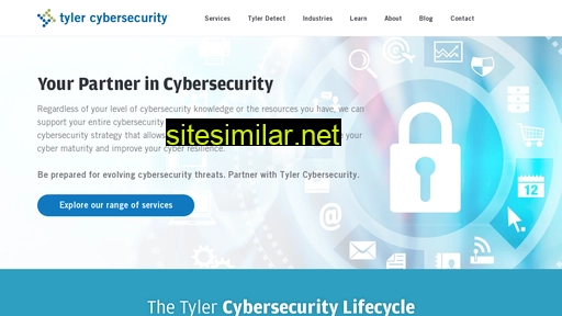 tylercybersecurity.com alternative sites