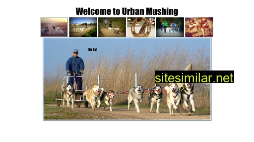 urbanmushing.com alternative sites