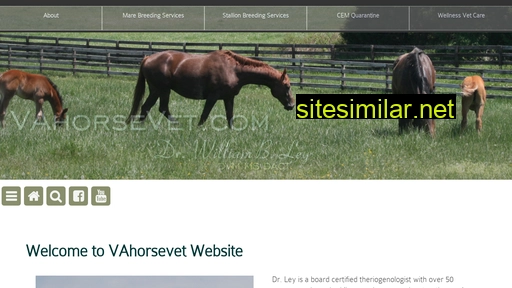 vahorsevet.com alternative sites