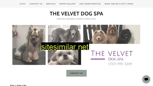 velvetdogspa.com alternative sites