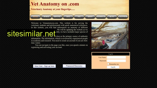 vetanatomyon.com alternative sites