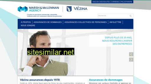 vezinainc.com alternative sites