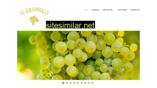 viniilgrappolo.com alternative sites