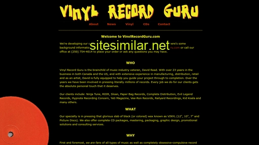 vinylrecordguru.com alternative sites