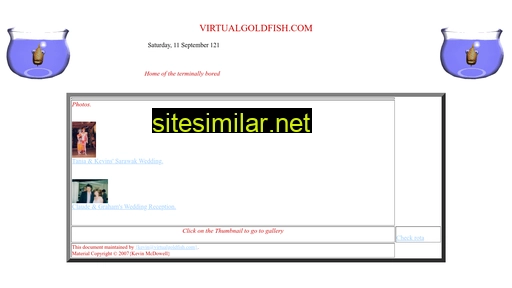 virtualgoldfish.com alternative sites