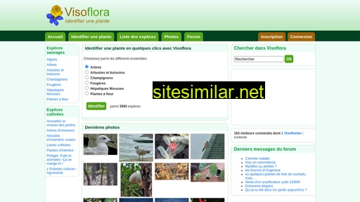 visoflora.com alternative sites
