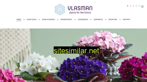 voila-vlasman.com alternative sites