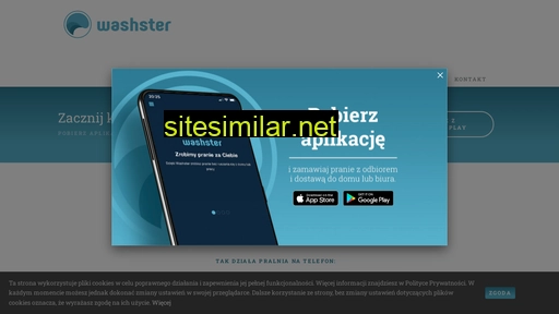 washster.com alternative sites