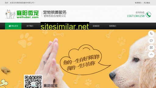 weihubei.com alternative sites
