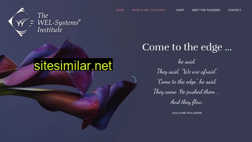 wel-systems.com alternative sites