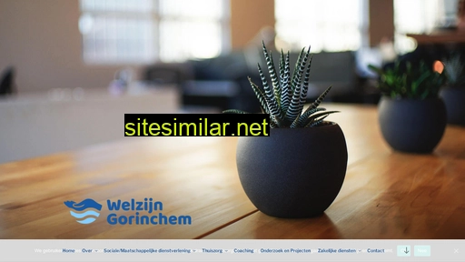 welzijngorinchem.com alternative sites