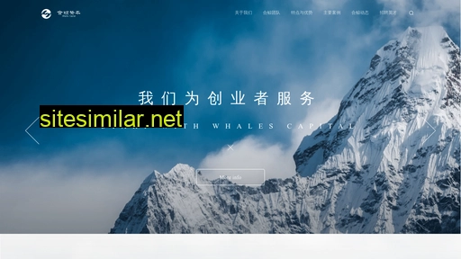 whalescapital.com alternative sites