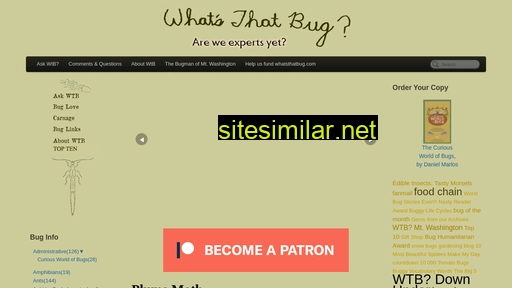 whatsthatbug.com alternative sites