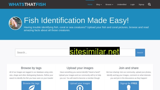 whatsthatfish.com alternative sites