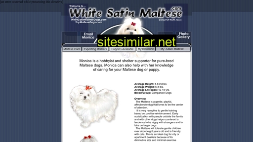 whitesatinmaltese.com alternative sites
