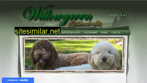 willowgreengoldendoodles.com alternative sites