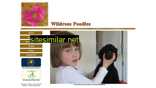 wildrosepoodles.com alternative sites