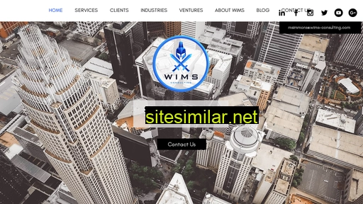 wims-consulting.com alternative sites