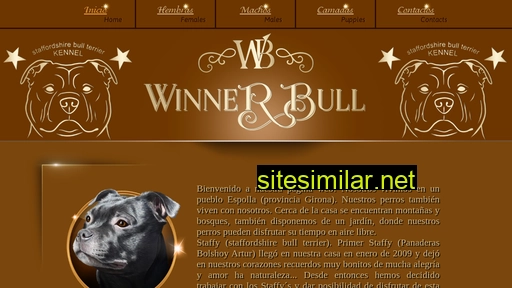 winnerbull.com alternative sites