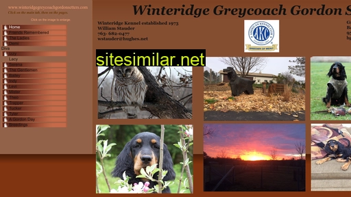 winteridgegreycoachgordonsetters.com alternative sites