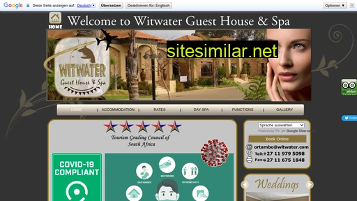 witwater.com alternative sites