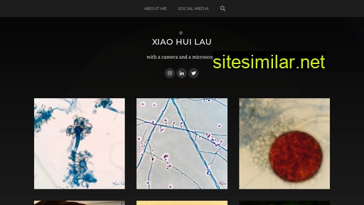 xiaohuilau.com alternative sites