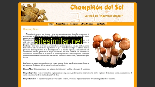champiñondelsol.com alternative sites