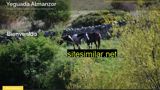 yeguadaalmanzor.com alternative sites