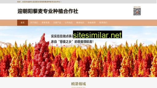 yingzhaoyang.com alternative sites
