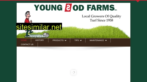 youngsodfarms.com alternative sites