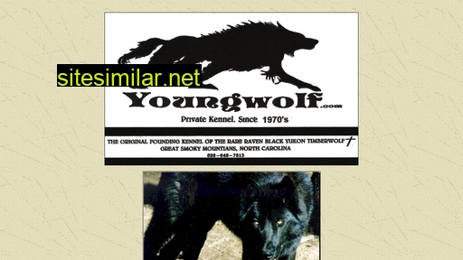 youngwolf.com alternative sites