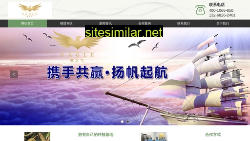 yuanzhifei.com alternative sites