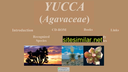 Yuccaagavaceae similar sites
