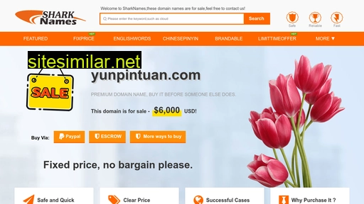 yunpintuan.com alternative sites