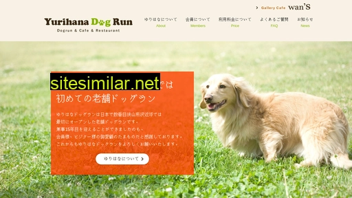 yurihanadogrun.com alternative sites