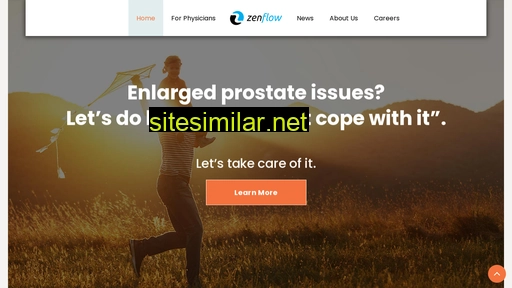 zenflow.com alternative sites