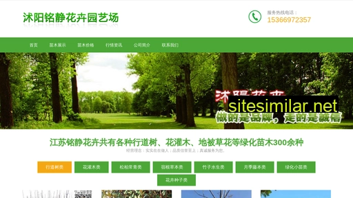 zhang007.com alternative sites