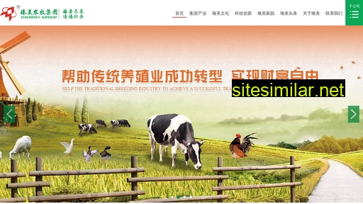 zhenmeigroup.com alternative sites