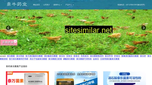 zhongjinxinmeng.com alternative sites