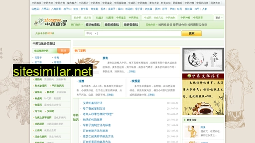 zhongyoo.com alternative sites