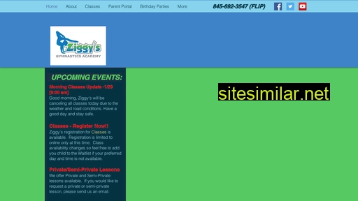 ziggysgym.com alternative sites