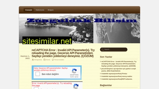 Zonguldakbilisim similar sites