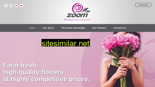 zoomroses.com alternative sites