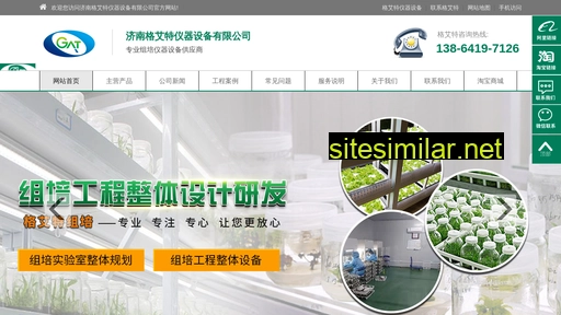 zupeiwang.com alternative sites