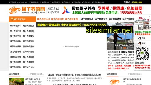 zzjuji.com alternative sites