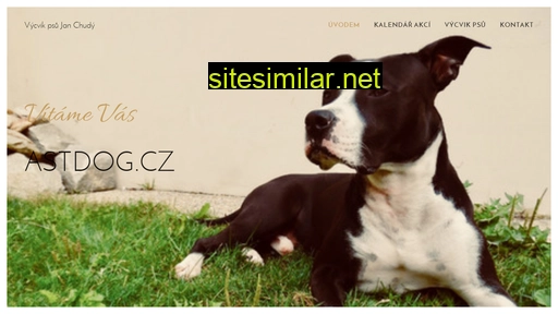 astdog.cz alternative sites
