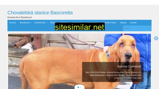 bascoretta.cz alternative sites