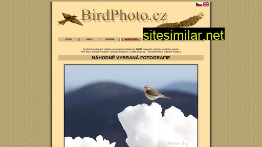 Birdphoto similar sites