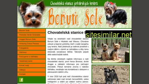 bonum-sole.cz alternative sites