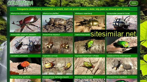 coleoptera.cz alternative sites